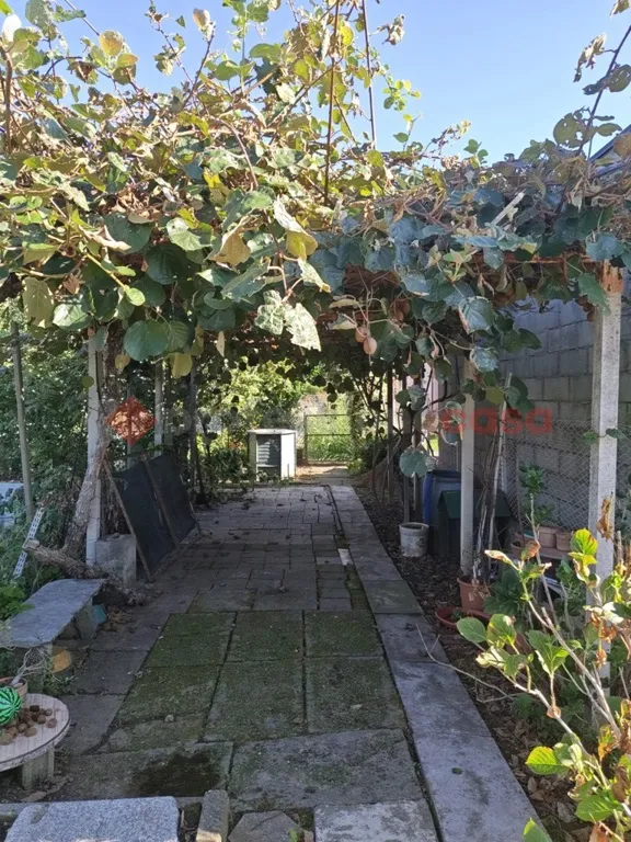Villa in vendita a Ghemme - foto 5