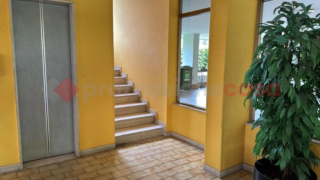 Appartamento in vendita a Pioltello - foto 6
