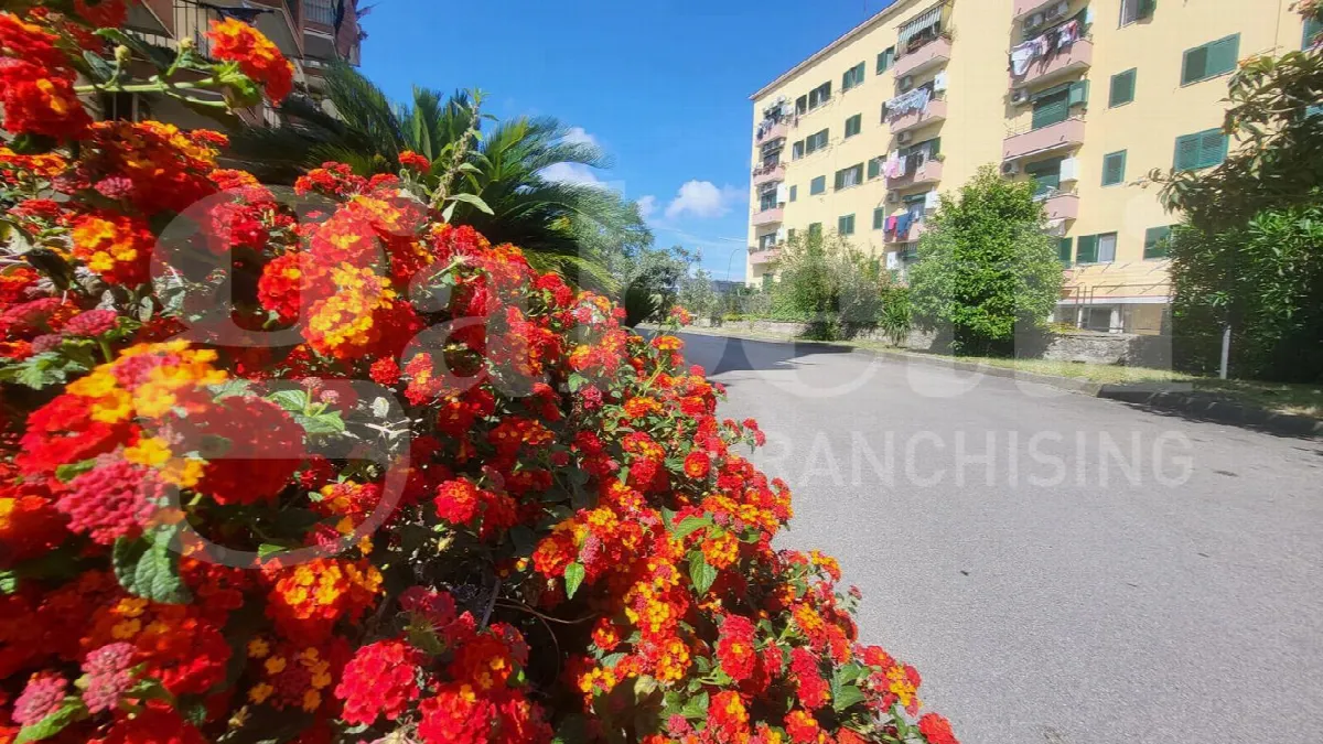 Appartamento in vendita a Napoli - foto 1