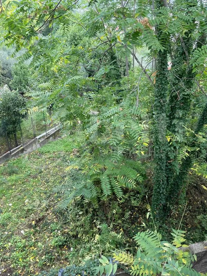 Casa indipendente in vendita a Santi Cosma e Damiano - foto 5