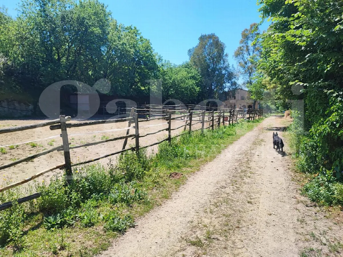Rustico in vendita a Sessa Aurunca - foto 2
