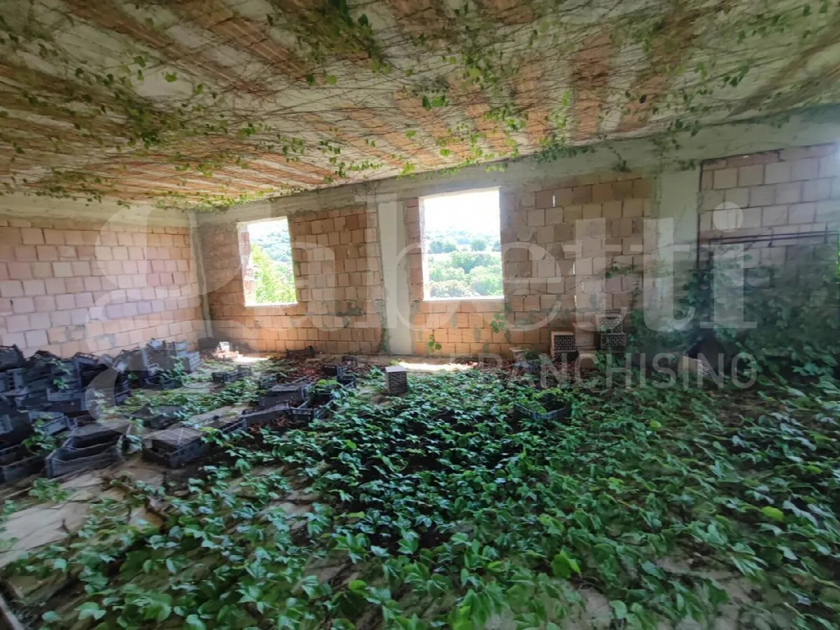 Rustico in vendita a Sessa Aurunca - foto 3