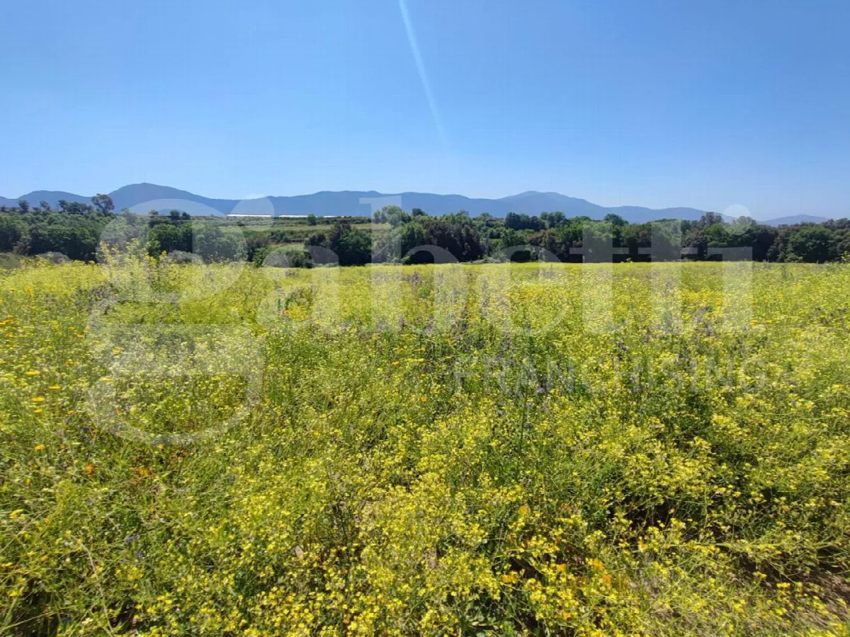 Rustico in vendita a Sessa Aurunca - foto 6