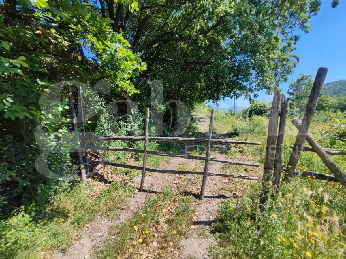 Rustico in vendita a Sessa Aurunca - foto 7