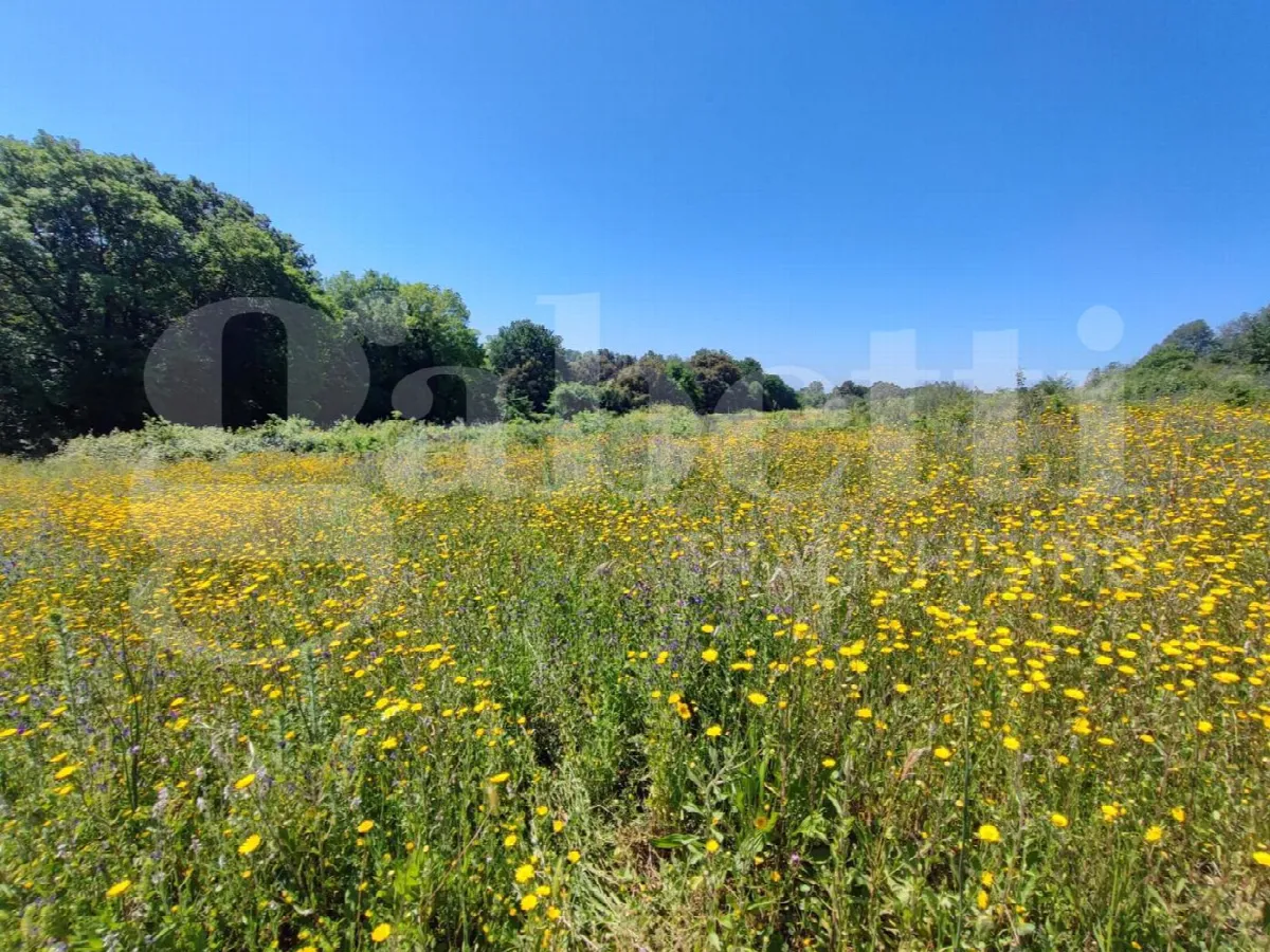 Rustico in vendita a Sessa Aurunca - foto 9