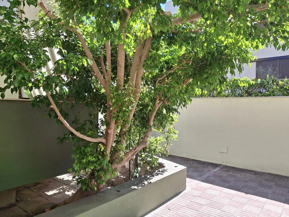 Appartamento in vendita a Alghero - foto 4