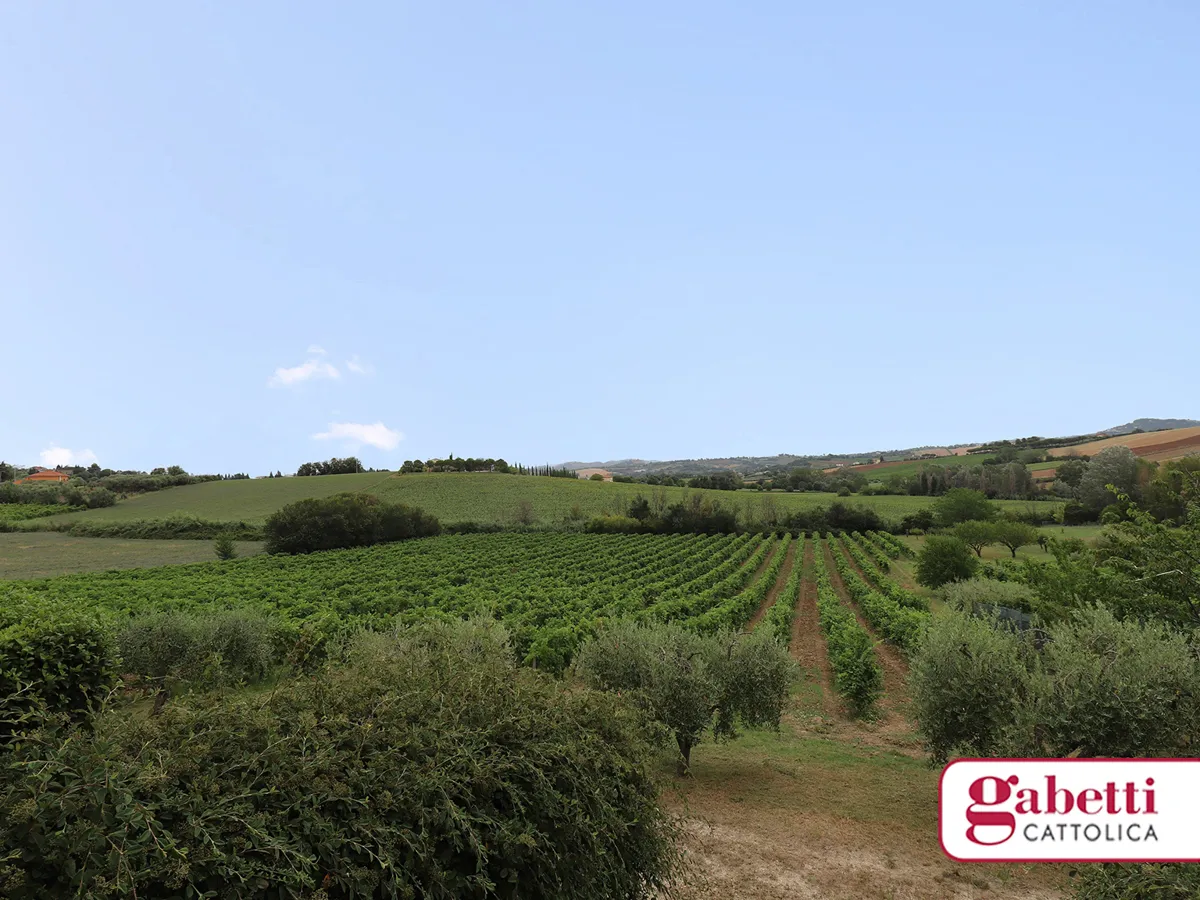 Villetta a schiera in vendita a San Giovanni in Marignano - foto 6