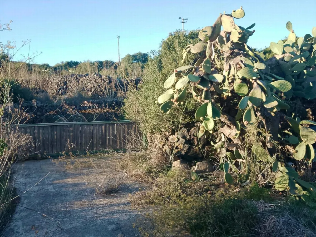 Rustico in vendita a Pantelleria - foto 4