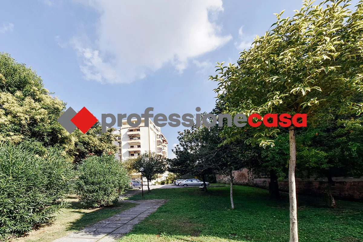 Appartamento in vendita a San Nicola la Strada - foto 3