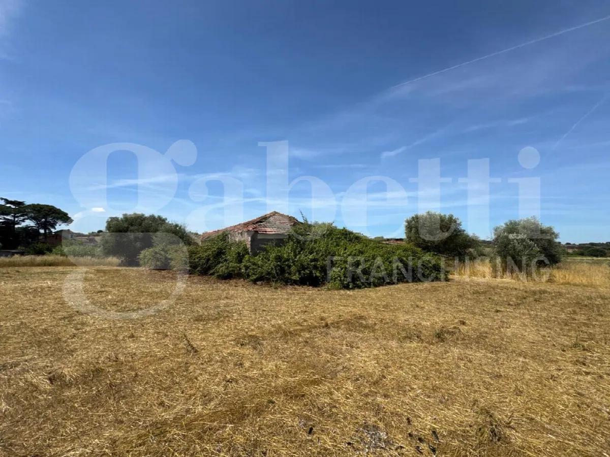 Rustico in vendita a Marino - foto 3