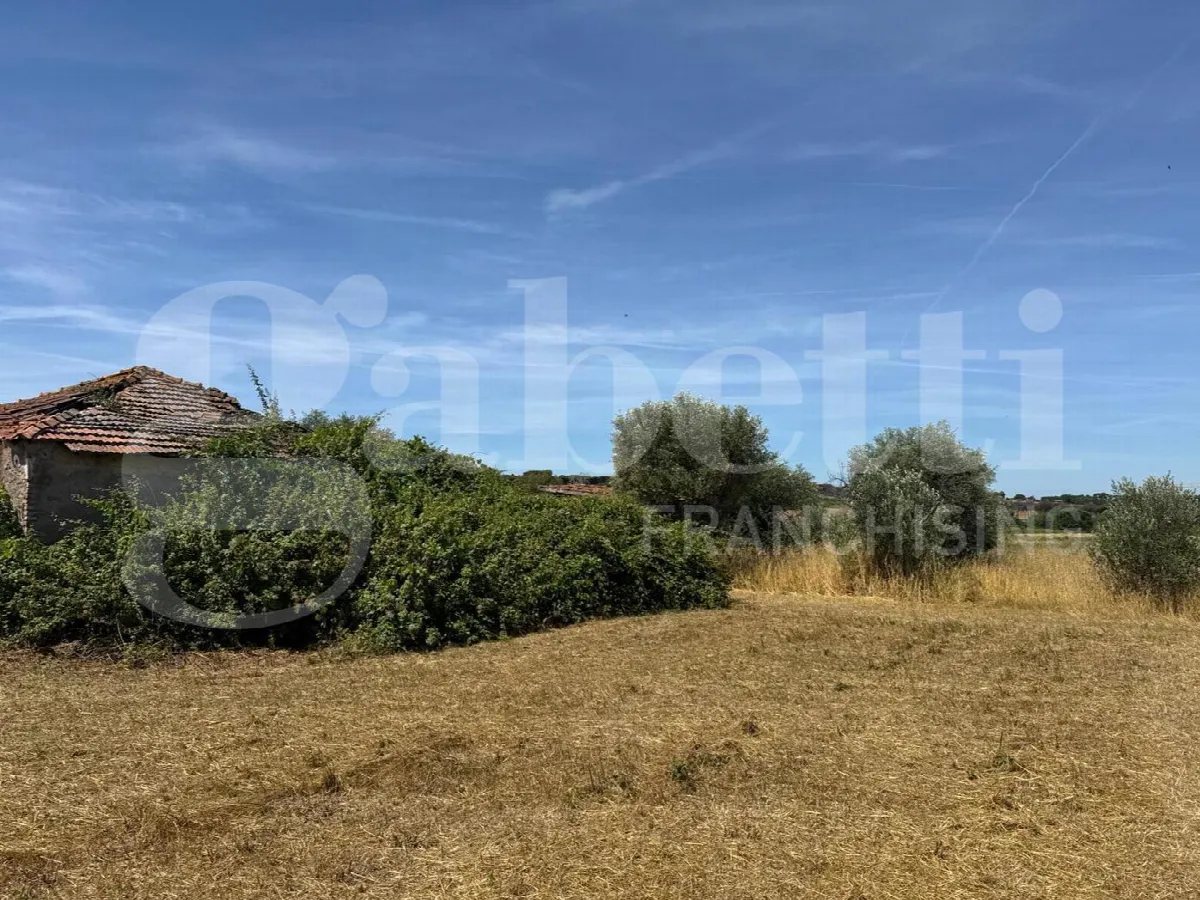 Rustico in vendita a Marino - foto 7
