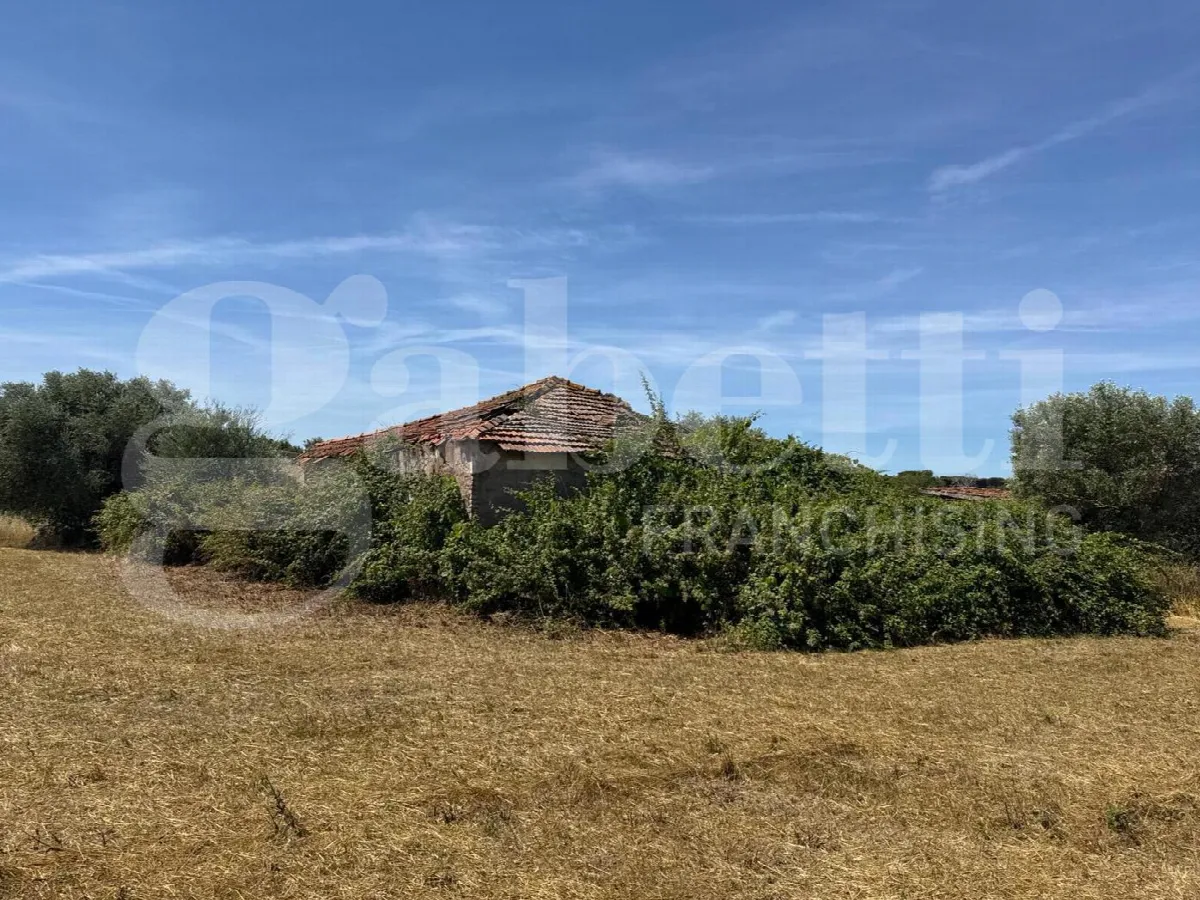 Rustico in vendita a Marino - foto 8