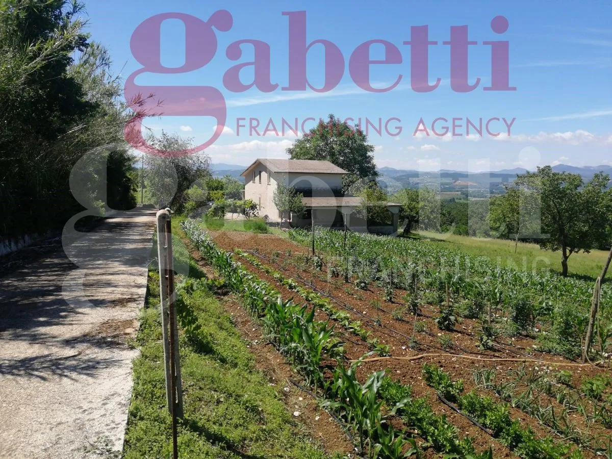 Casa indipendente in vendita a Gioia Sannitica - foto 2