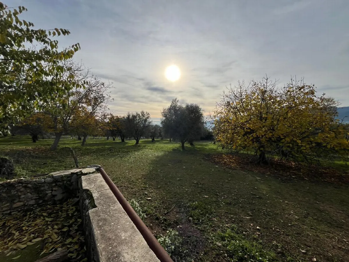 Rustico in vendita a Sant'Angelo d'Alife - foto 4