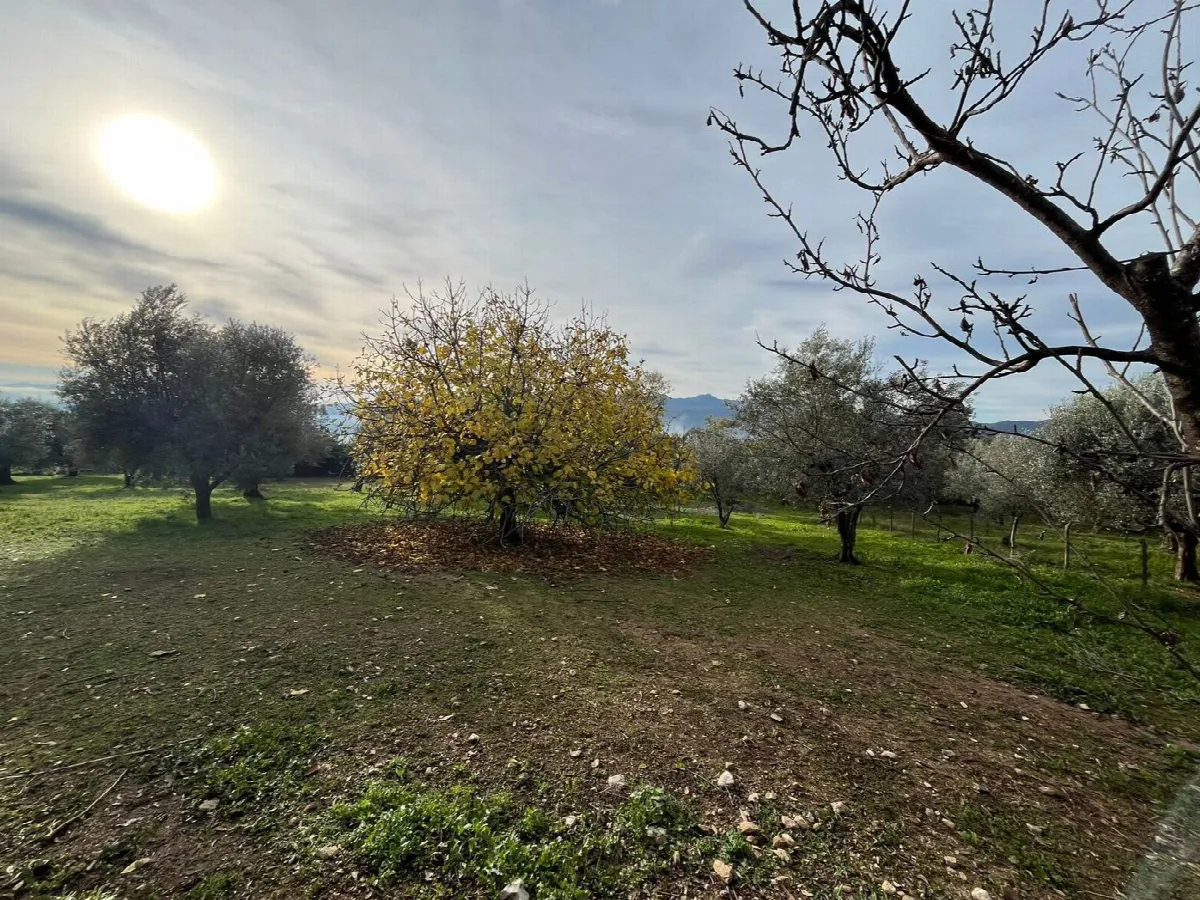 Rustico in vendita a Sant'Angelo d'Alife - foto 6