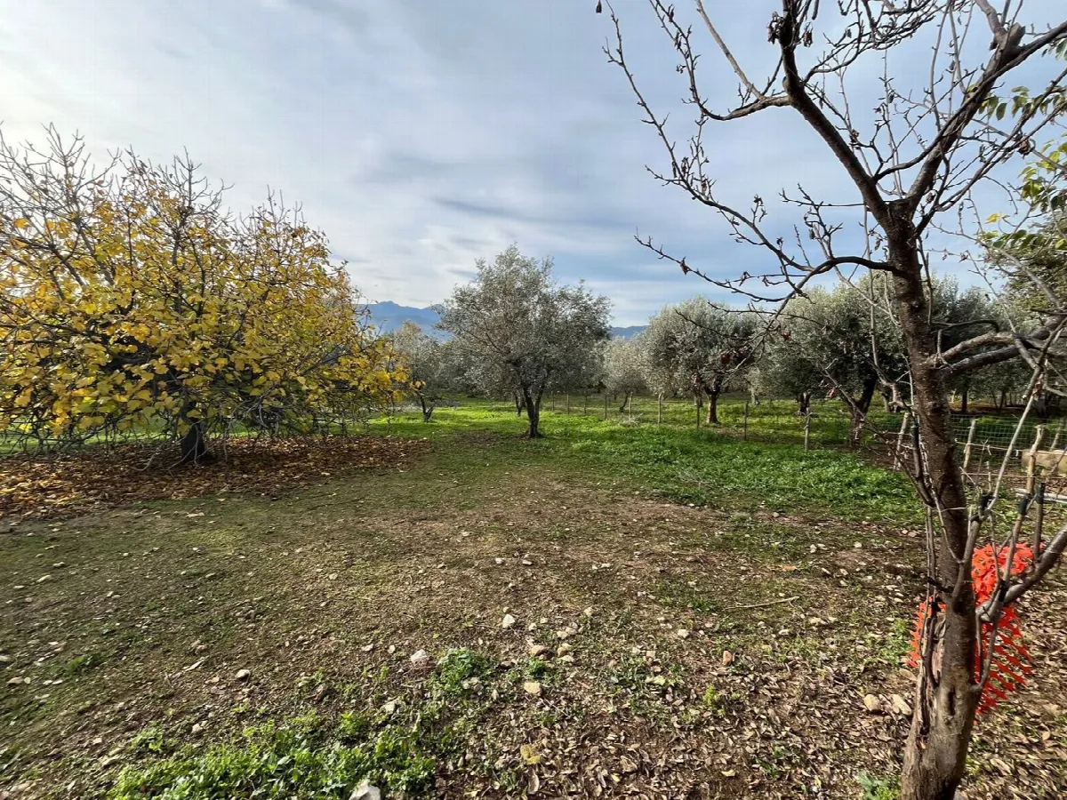 Rustico in vendita a Sant'Angelo d'Alife - foto 7