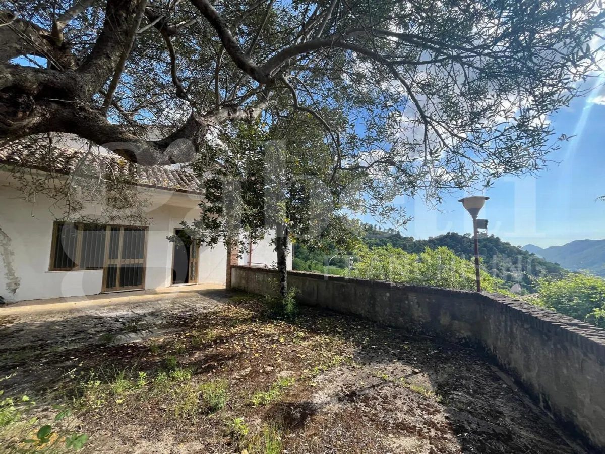 Casa indipendente in vendita a Raviscanina - foto 1