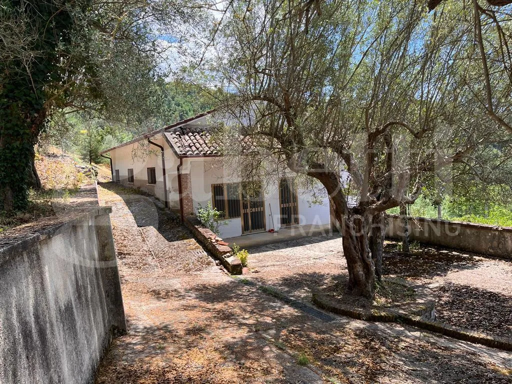 Casa indipendente in vendita a Raviscanina - foto 2