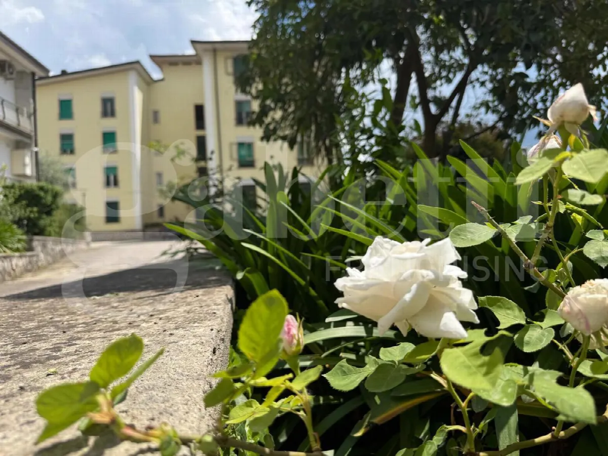Appartamento in vendita a Piedimonte Matese - foto 1