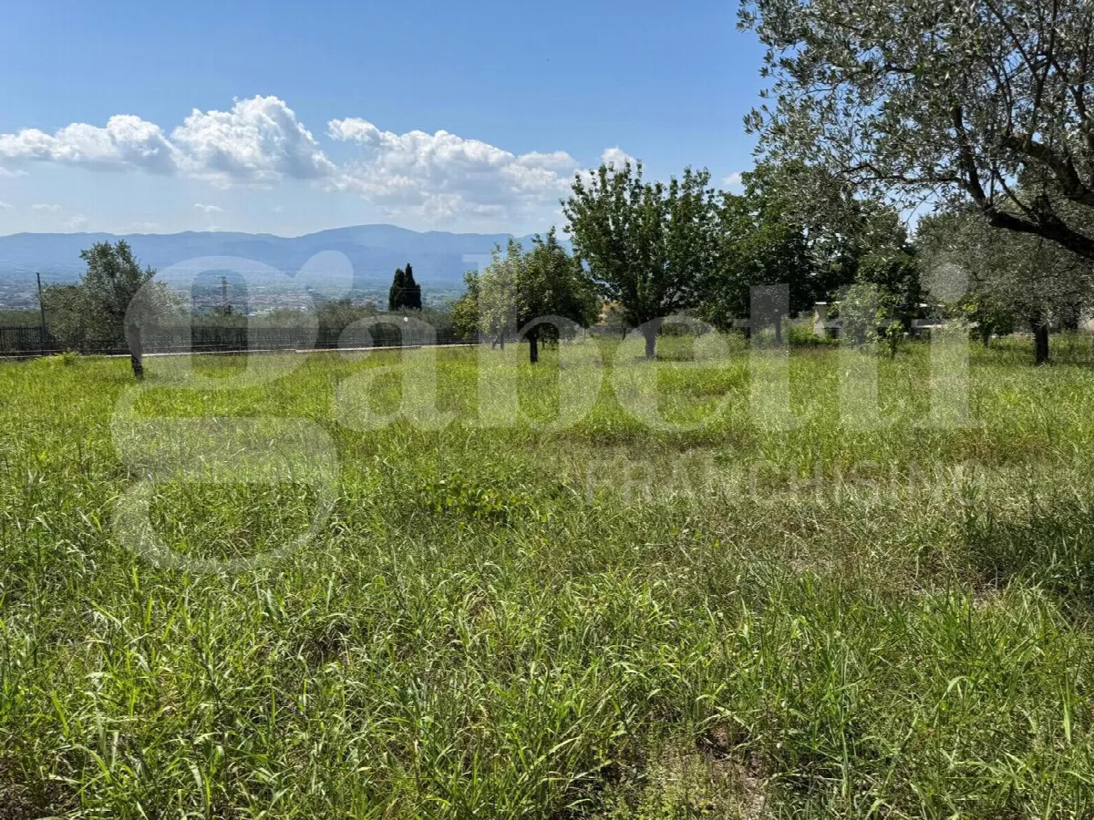 Rustico in vendita a Alife - foto 10