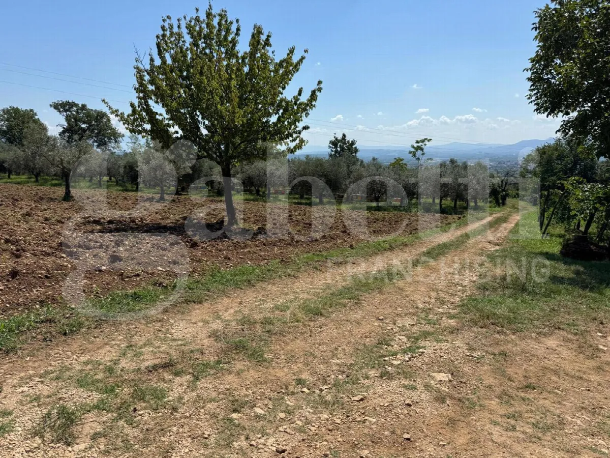 Rustico in vendita a Alife - foto 7