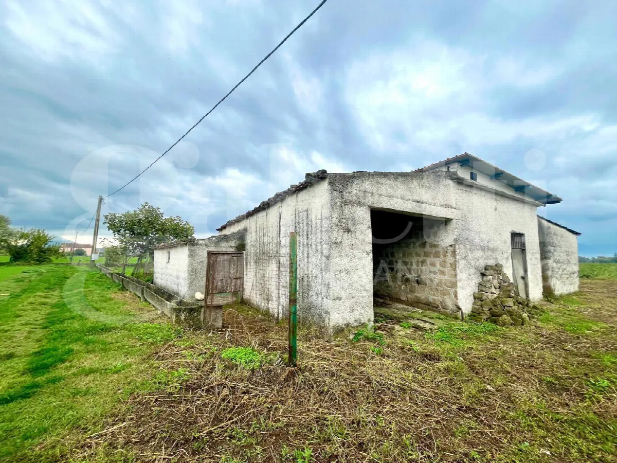Rustico in vendita a Alife - foto 1