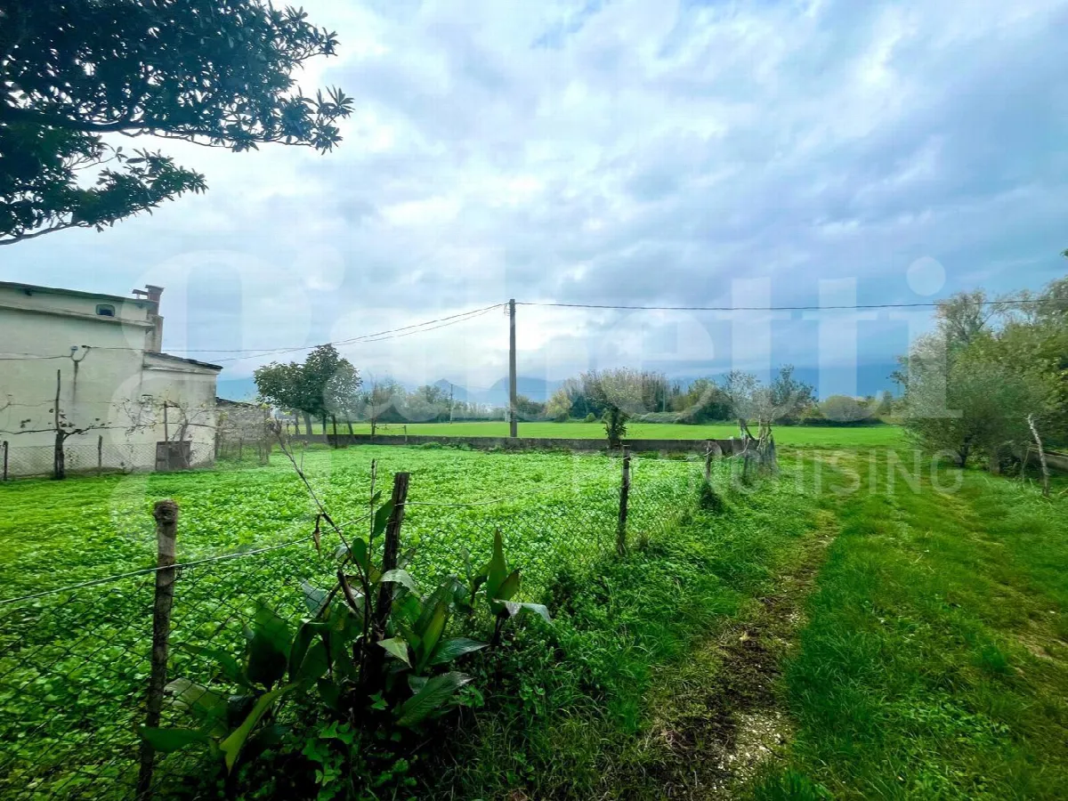 Rustico in vendita a Alife - foto 10