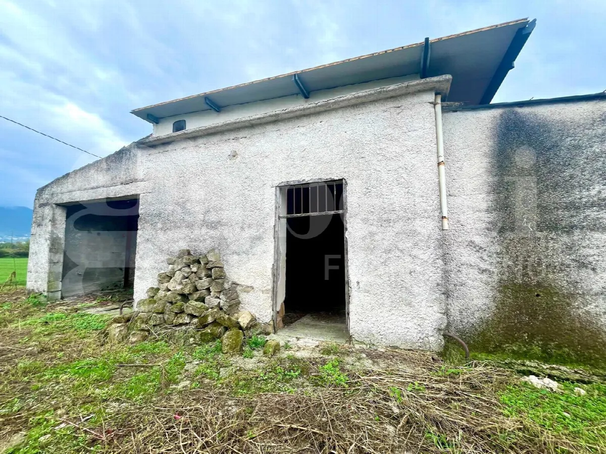 Rustico in vendita a Alife - foto 2