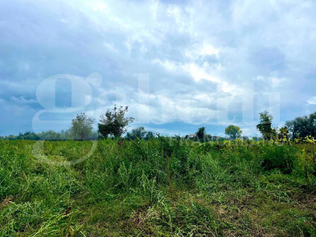 Rustico in vendita a Alife - foto 6