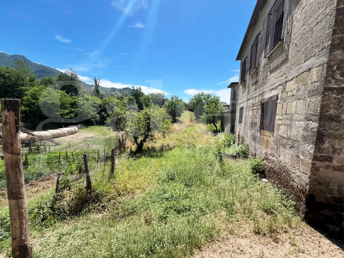 Casa indipendente in vendita a Raviscanina - foto 3
