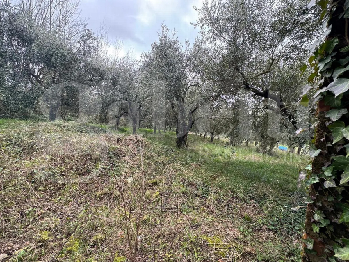 Casa indipendente in vendita a Gioia Sannitica - foto 10