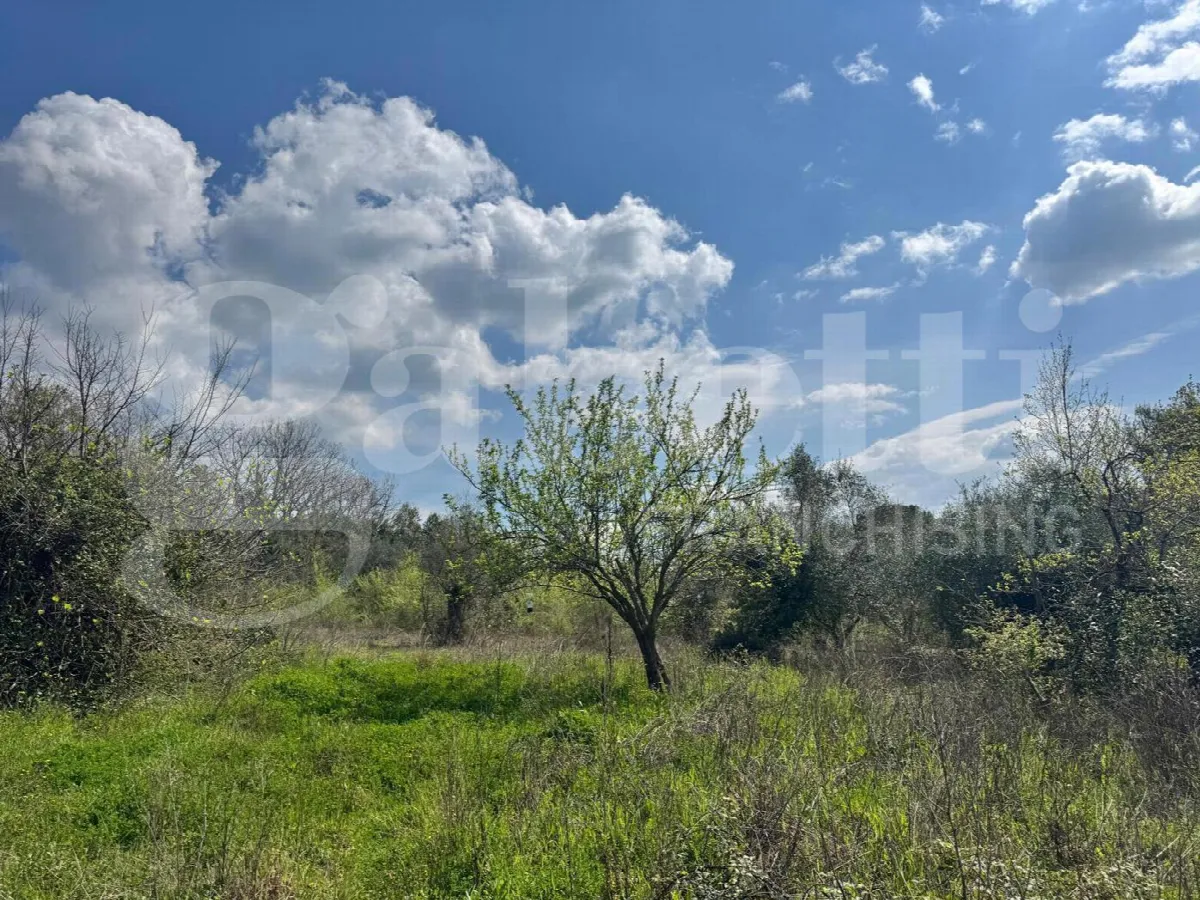 Casa indipendente in vendita a Piana di Monte Verna - foto 5
