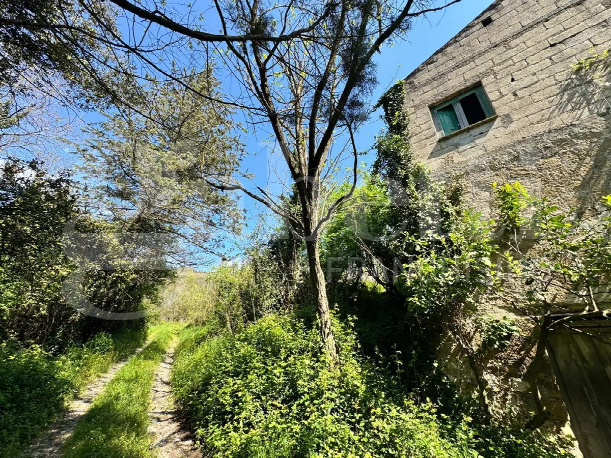 Casa indipendente in vendita a Piana di Monte Verna - foto 6