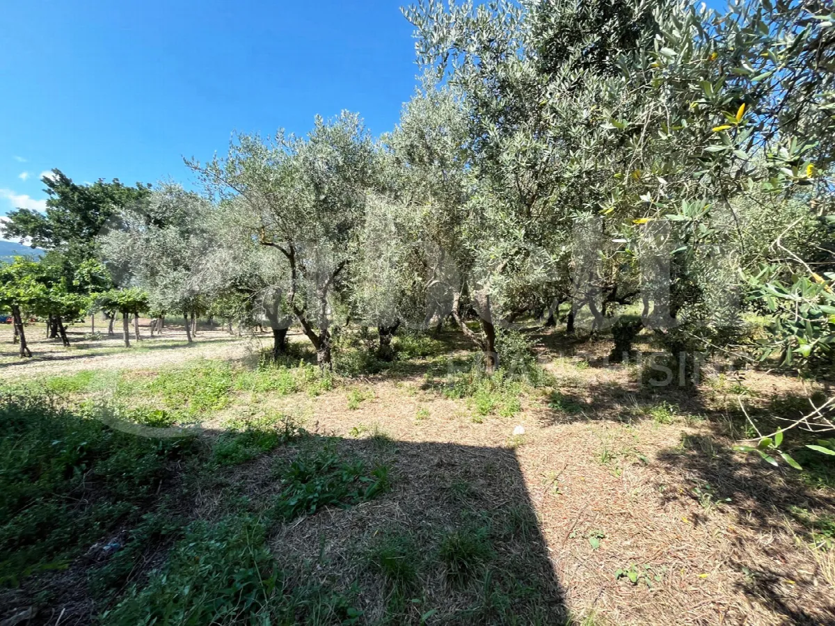 Rustico in vendita a Gioia Sannitica - foto 6