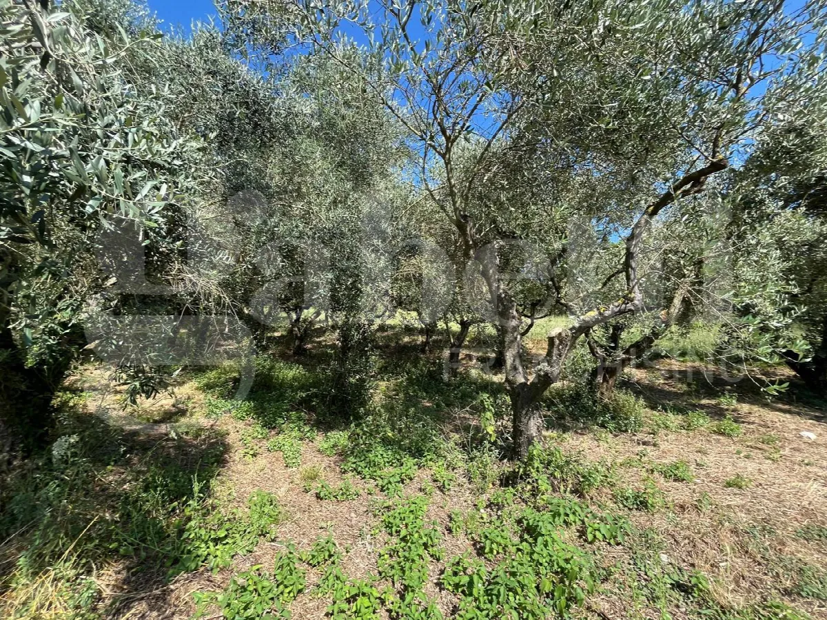Rustico in vendita a Gioia Sannitica - foto 7