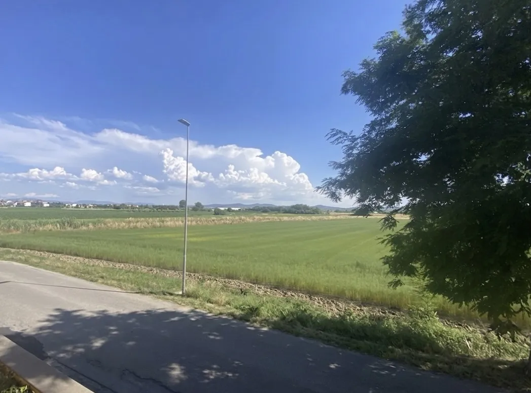 Appartamento in vendita a Campi Bisenzio - foto 6