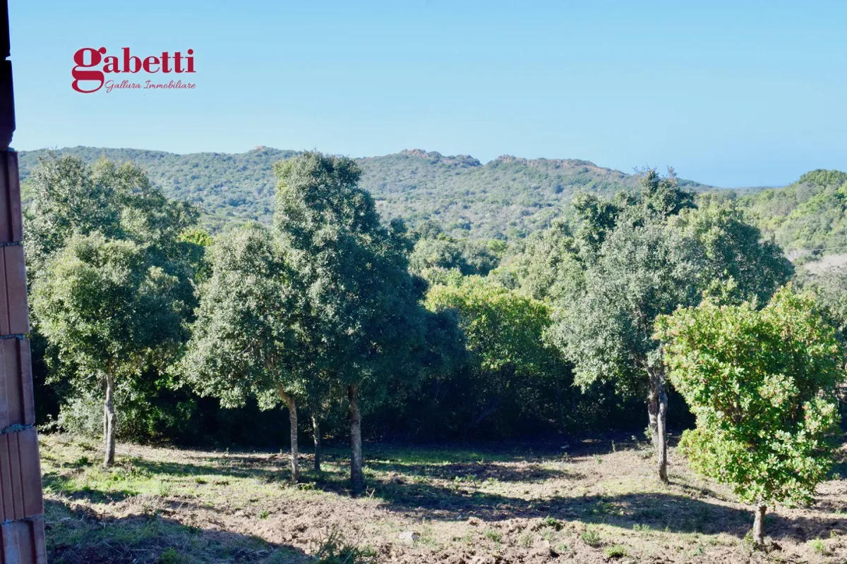 Villa in vendita a Aglientu - foto 10