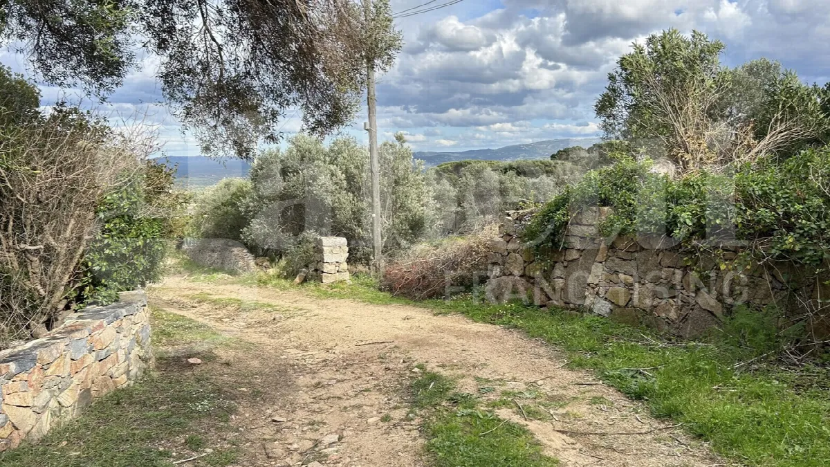 Rustico in vendita a Aglientu - foto 8
