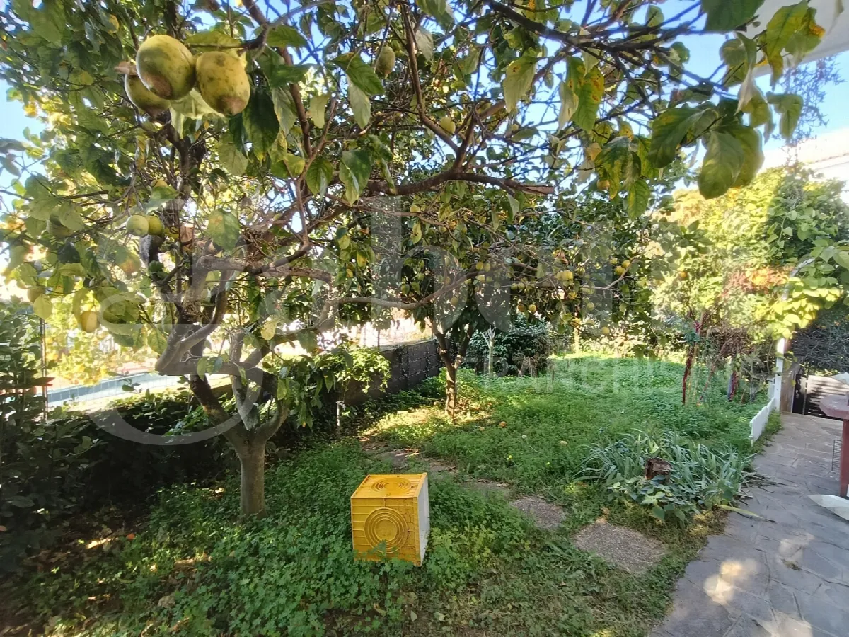 Villetta a schiera in vendita a Anzio - foto 5