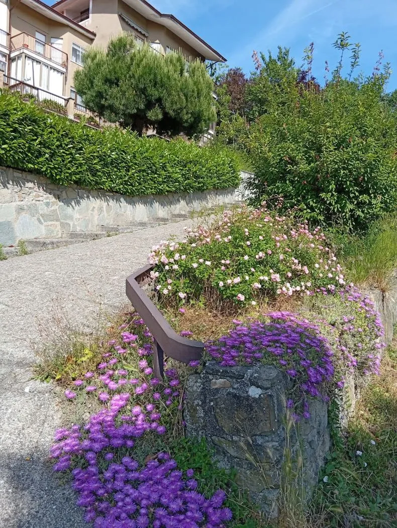 Appartamento in vendita a Bossolasco - foto 1