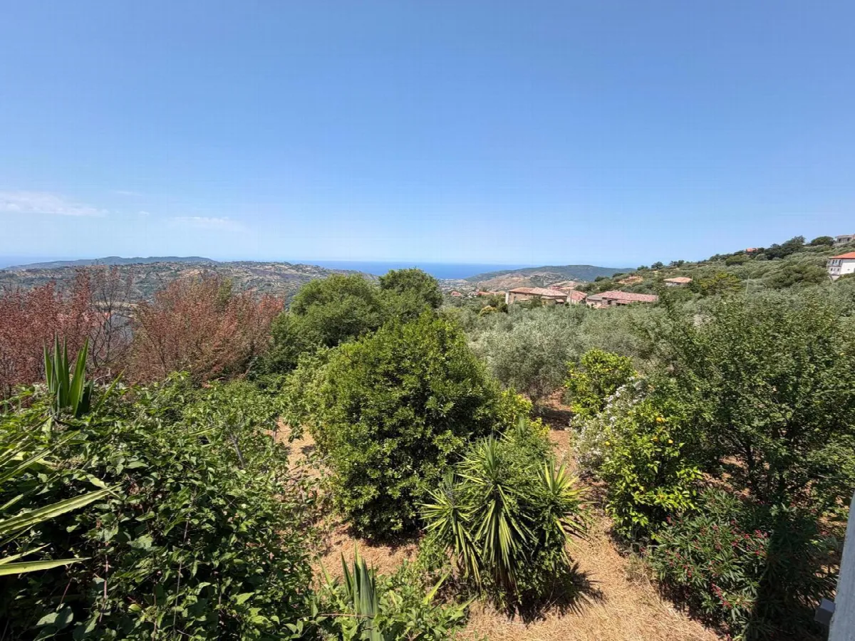 Casa bifamiliare in vendita a Laureana Cilento - foto 5