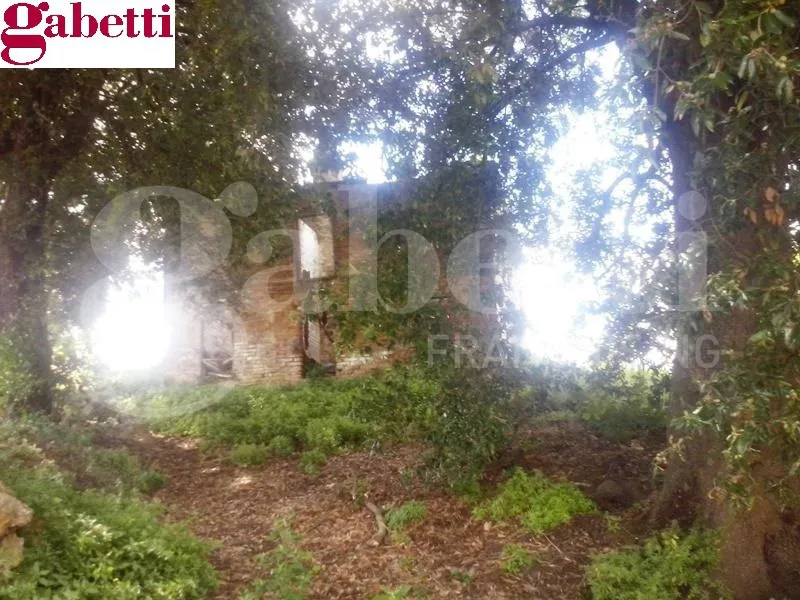 Rustico in vendita a San Gimignano - foto 6