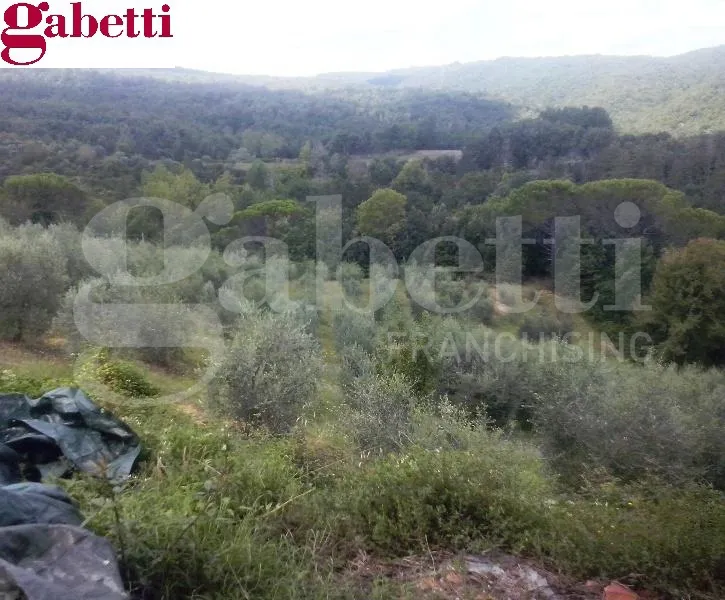 Rustico in vendita a San Gimignano - foto 7