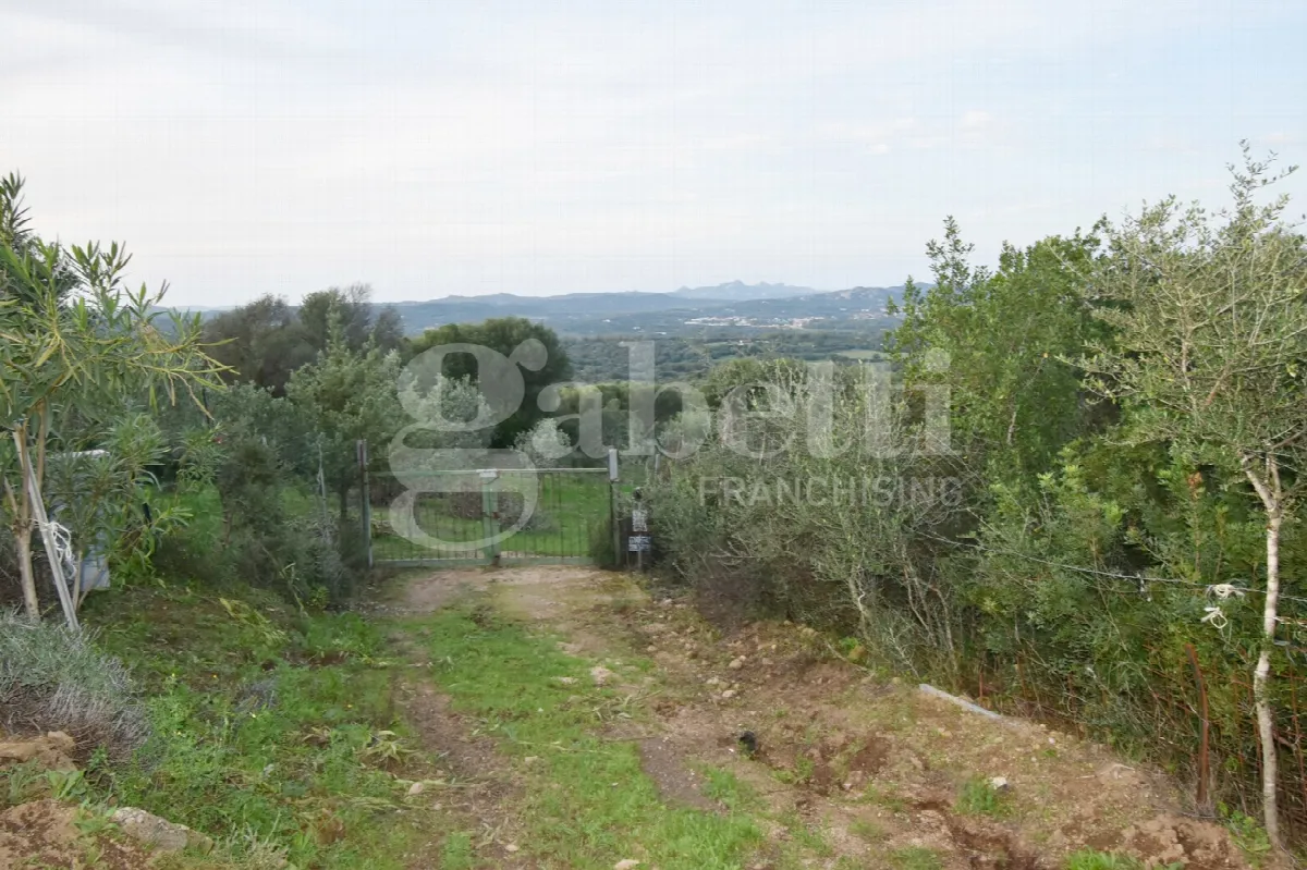 Rustico in vendita a Olbia - foto 5