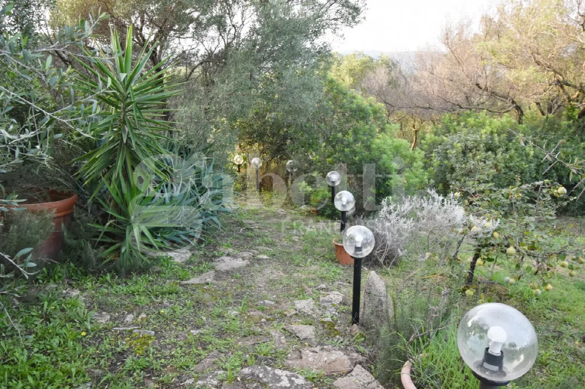 Rustico in vendita a Olbia - foto 6
