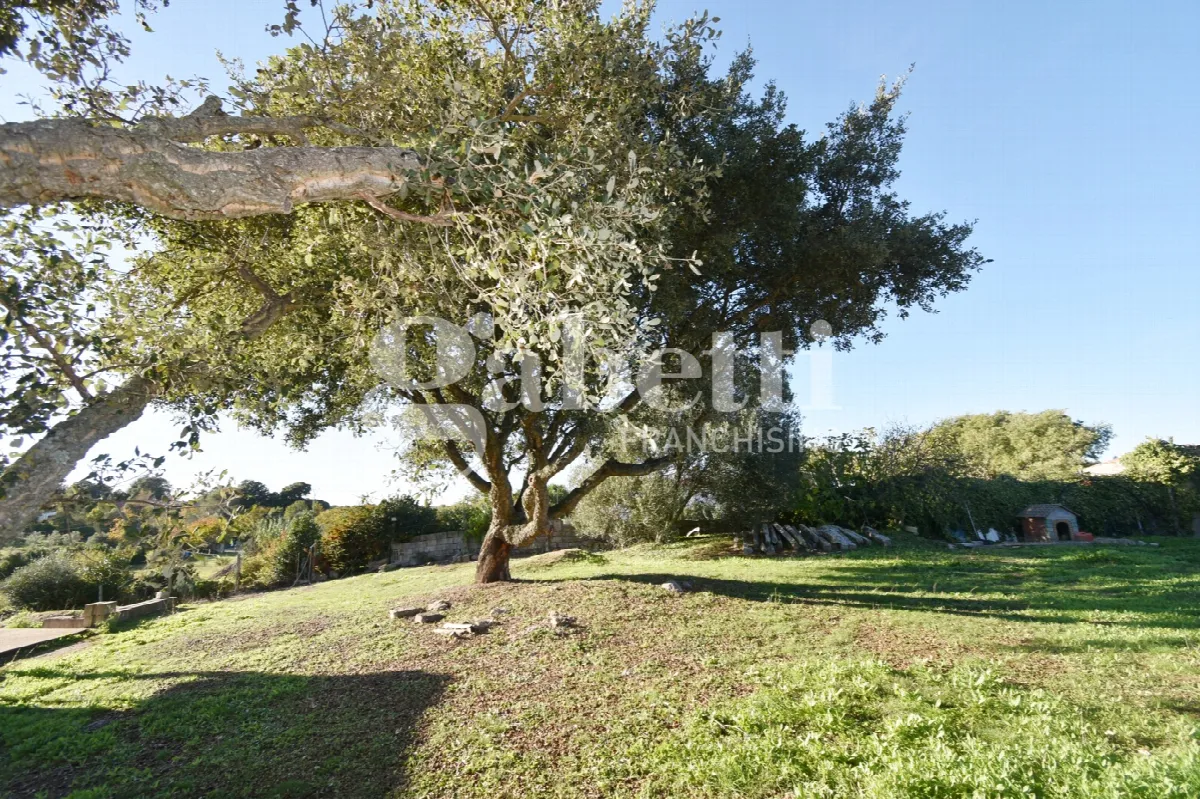 Rustico in vendita a Tempio Pausania - foto 6