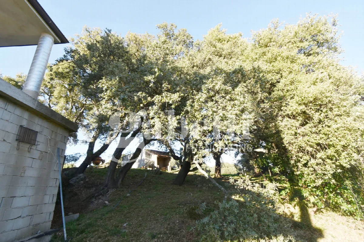 Rustico in vendita a Tempio Pausania - foto 7