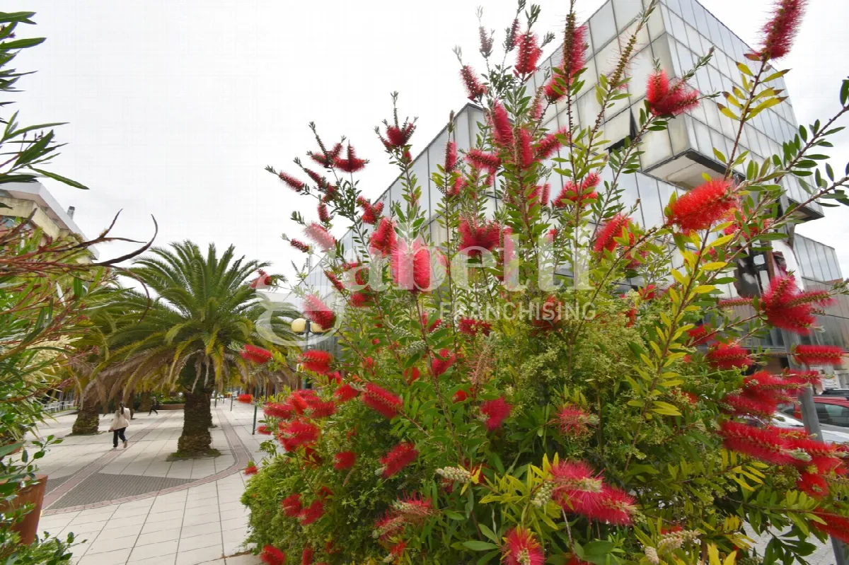 Ufficio in vendita a Sassari - foto 2