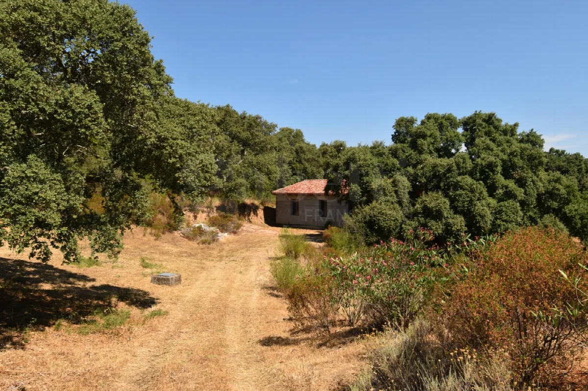 Rustico in vendita a Telti - foto 1