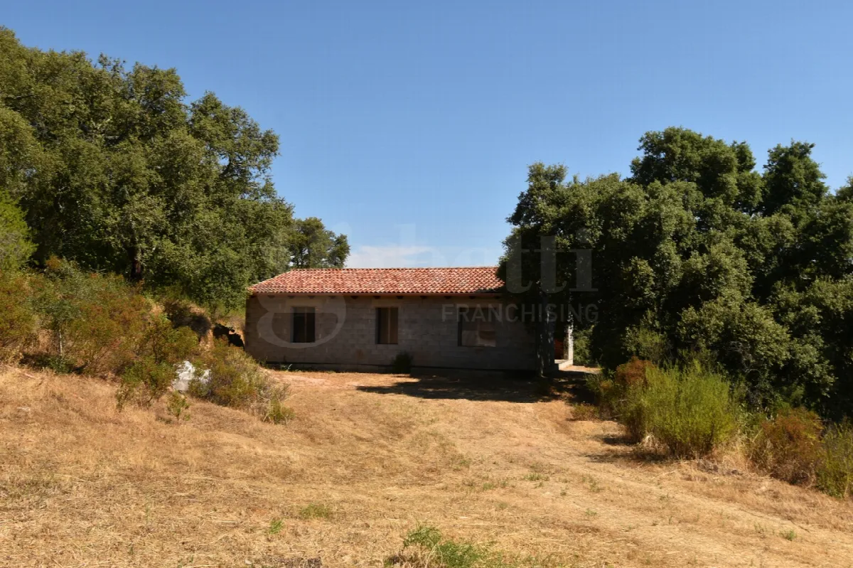 Rustico in vendita a Telti - foto 2